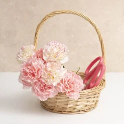 Willow Basket with Handle Round Natural (24Dx9cmH)