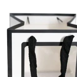 Window Posy Gift Bag Silhouette White Pack 5 (25x25x25cmH)