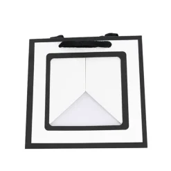 Window Posy Gift Bag Silhouette White Pack 5 (25x25x25cmH)
