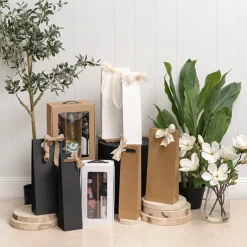 Wine Bag Single Bottle Kraft Pack 5 Brown (11Wx9Gx42cmH)