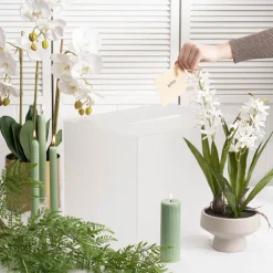 Wishing Well Rectangle Box Frosted Clear (40x30x30cmH)