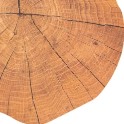 Wood Slice Look Table Placemat Set 2 Round Brown (38cmD)