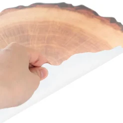 Wooden Timber Look Table Placemat Set 2 Round Brown (38cmD)