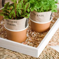 Wooden Tray Square Low Edge White Wash (41x41x3.5cmH)