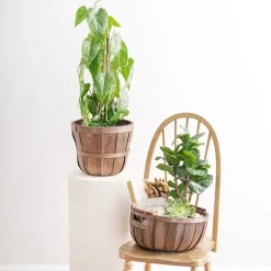 Woven Barrel Planter Dark Brown (30x25cmH)